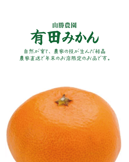 【数量限定】2026年新春福袋！店主オススメ！おまかせセット
