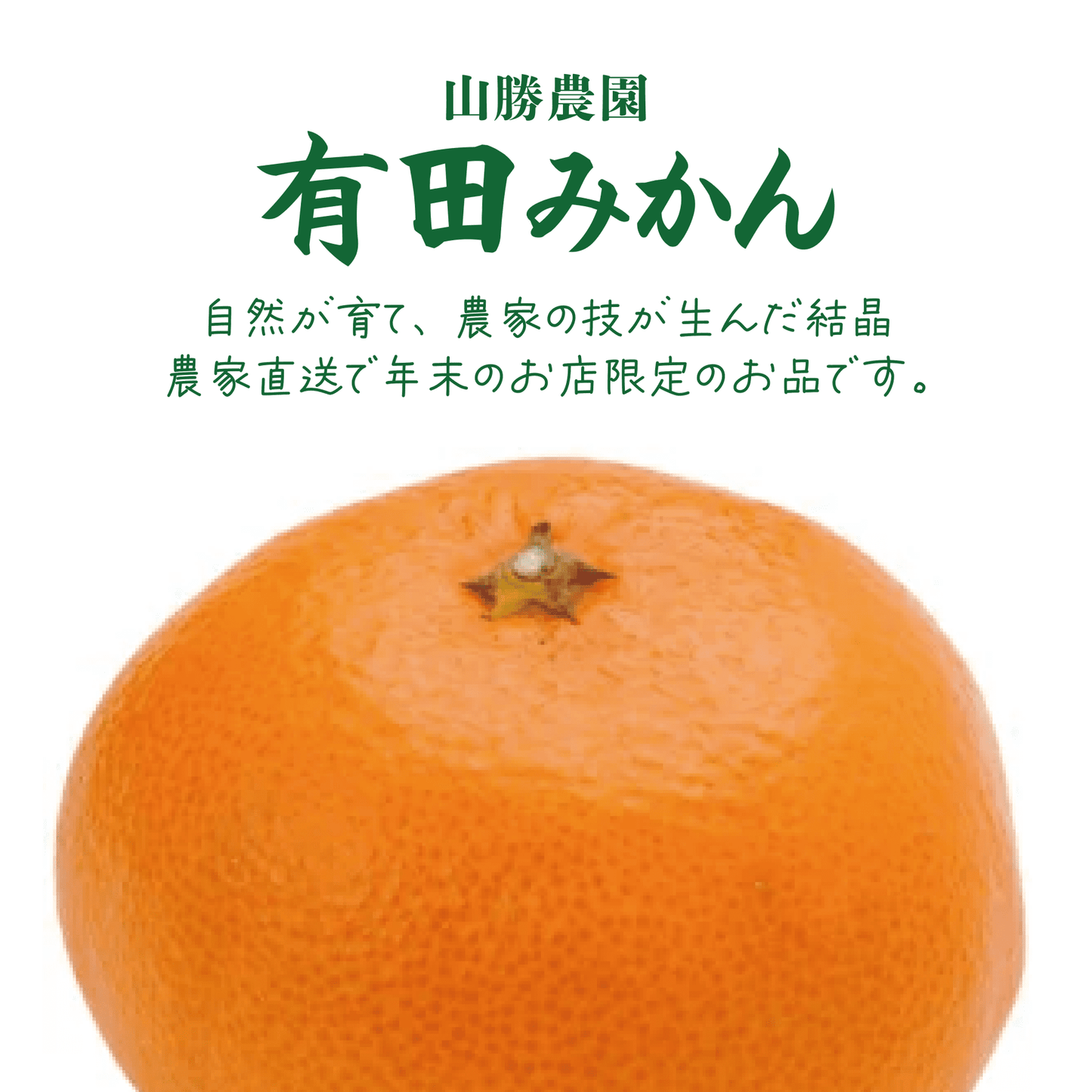 【数量限定】2026年新春福袋！店主オススメ！おまかせセット - 〈チャーシュー専門店〉ミートポーク山水
