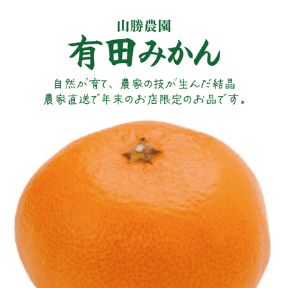 【数量限定】2026年新春福袋！店主オススメ！おまかせセット - 〈チャーシュー専門店〉ミートポーク山水